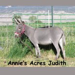 Annie's Acres Judith